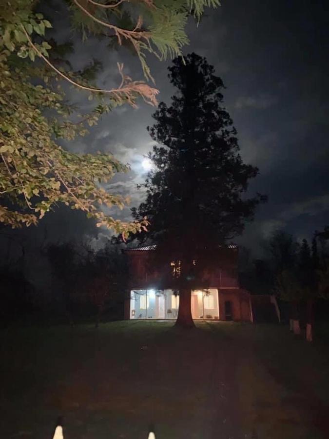 Martv'Elle Boutique Guesthouse Martwili Zewnętrze zdjęcie